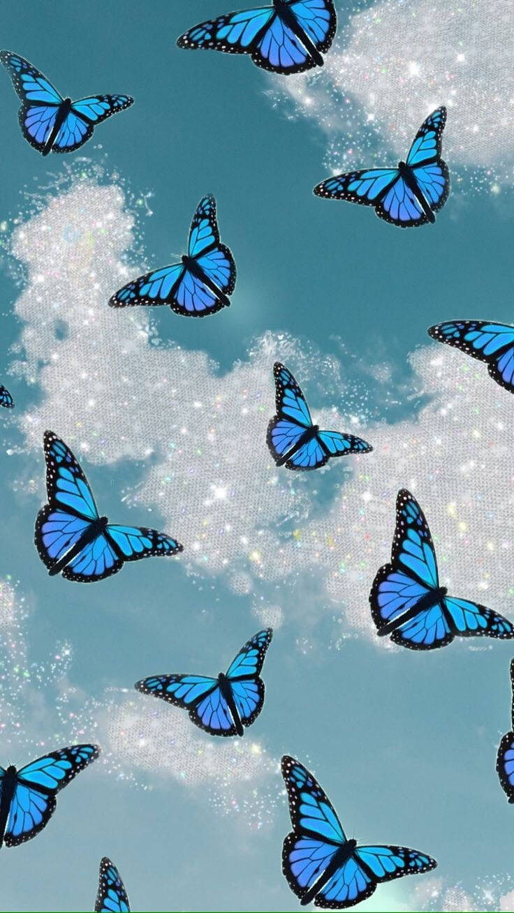 심플 블루 미학 나비 배경화면