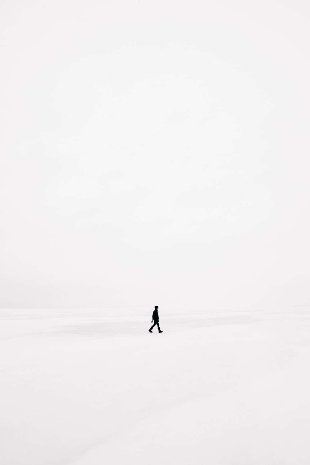 심플하고 우아한 화이트 미학 배경화면