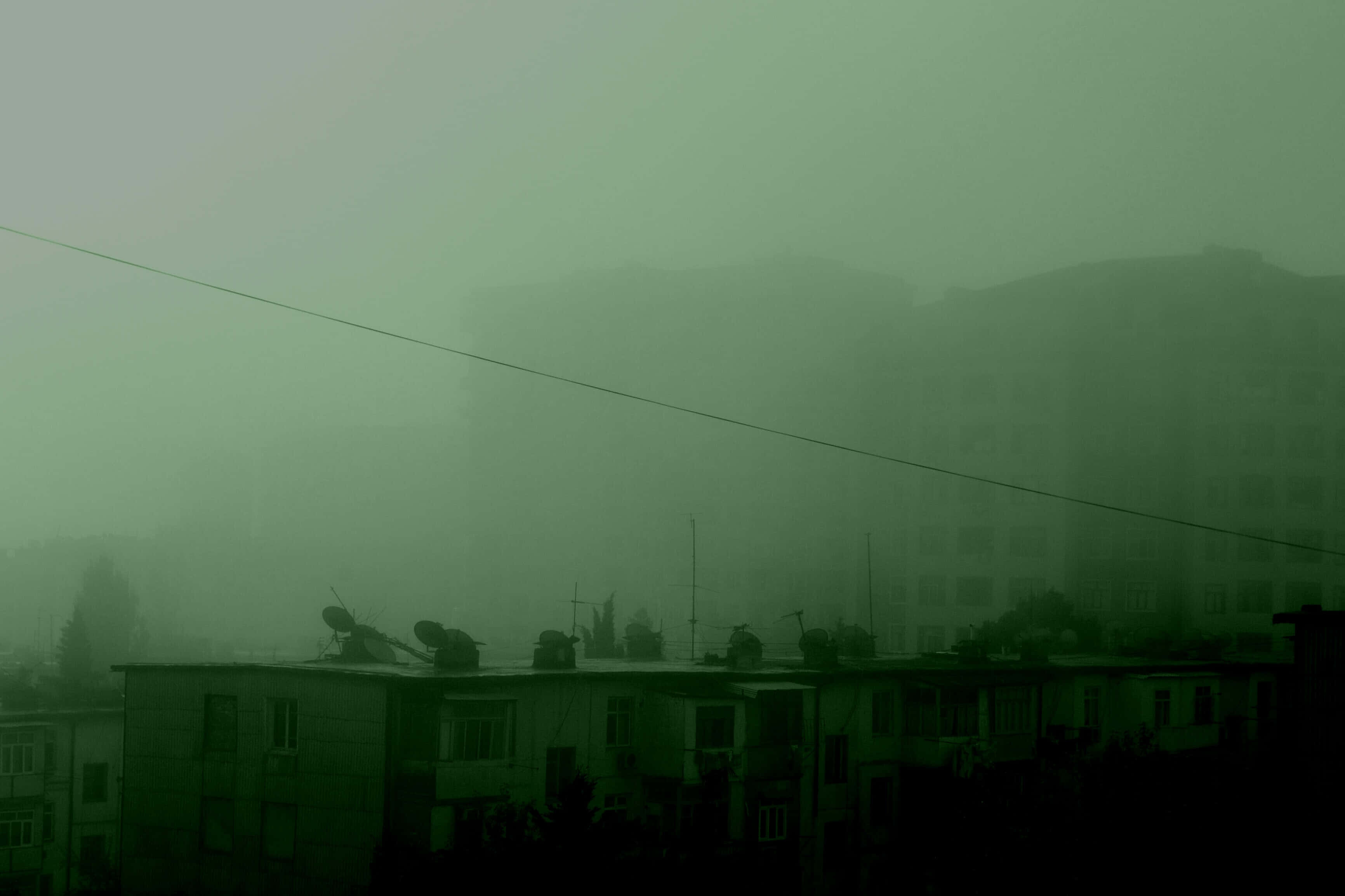 아름다운 다크 그린 감성 배경화면