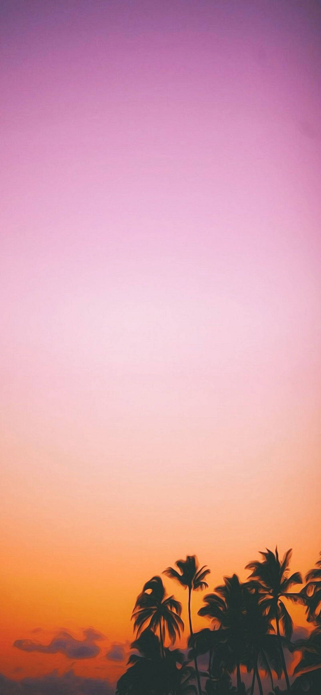 아름다운 일몰 낙원 홈 화면 배경화면