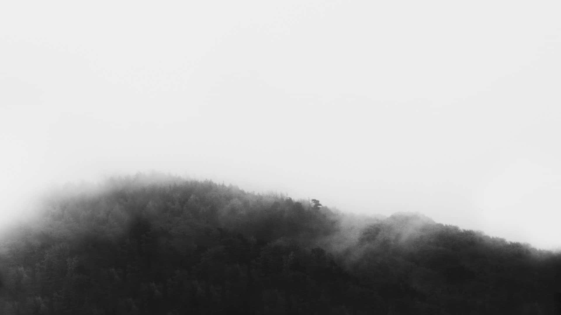 안개에 덮인 산의 흑백 사진 배경화면