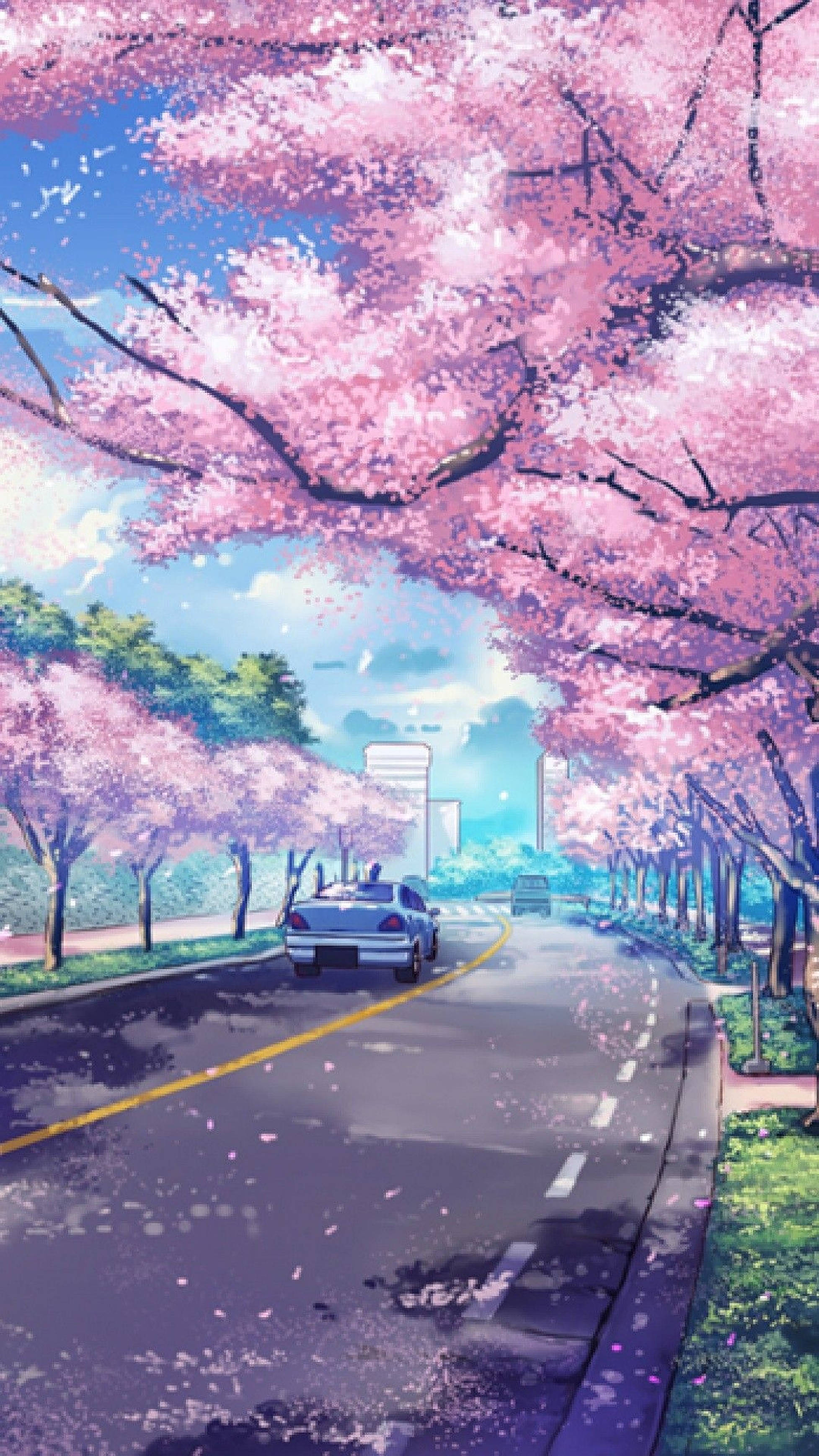 애니메이션 벚꽃 아이폰 배경화면