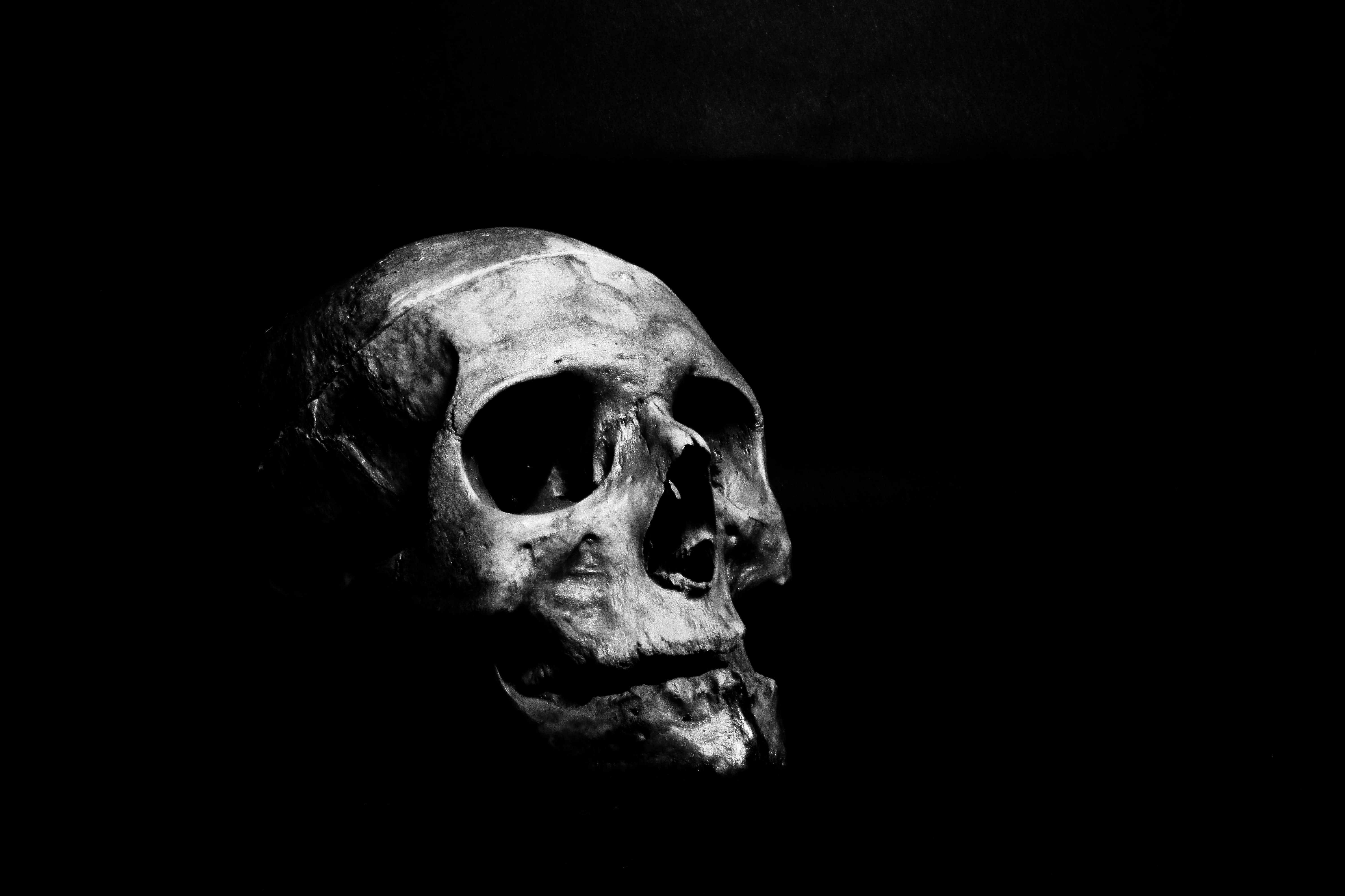 어두운 노트북 인간 두개골 배경화면