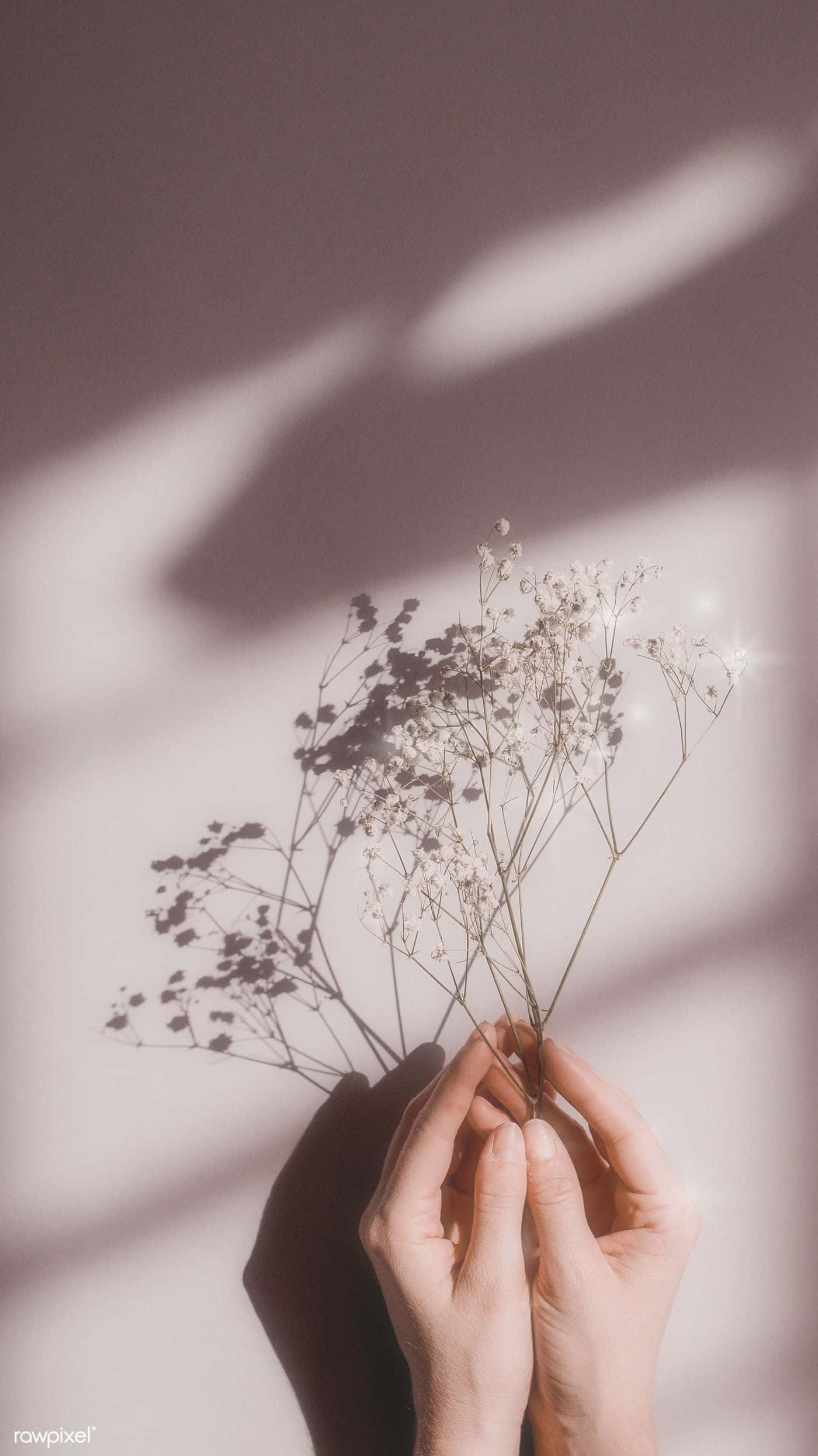 어떤 날이라도 환하게 밝혀줄 완벽한 플라워 터치. 배경화면
