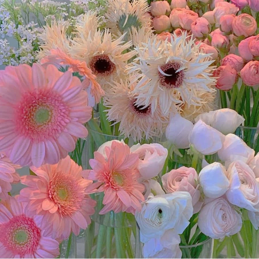 여름철에 피는 아름다운 흰색과 분홍색 꽃 배경화면