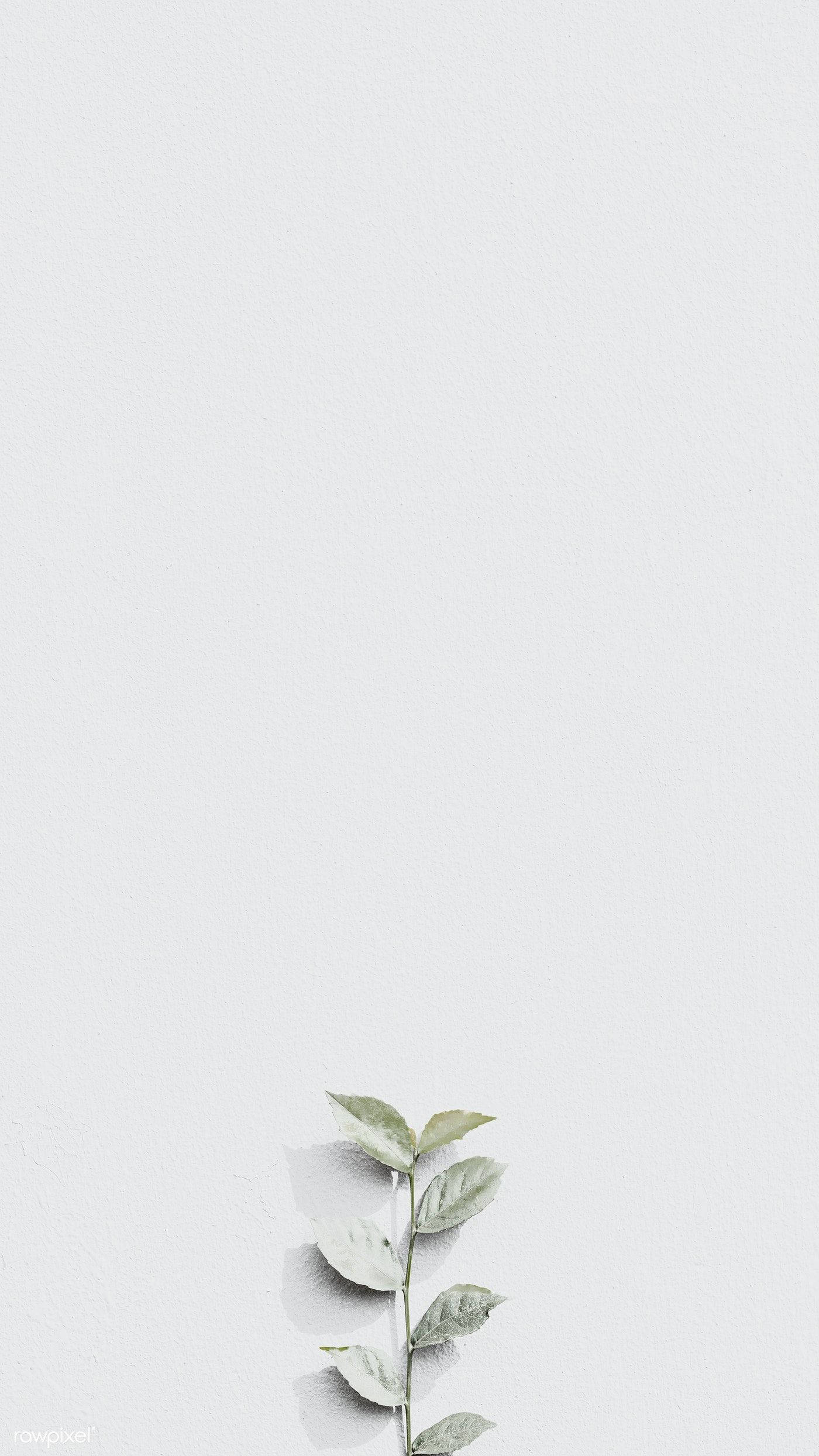 연한 회색 미적 블룸 배경화면