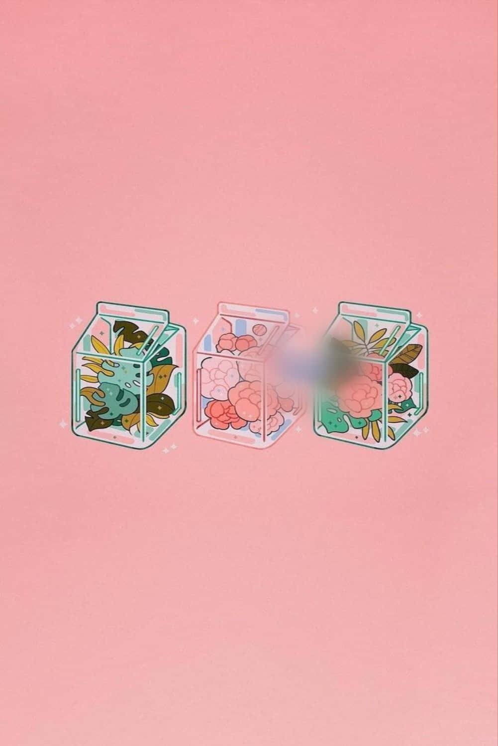 예쁜 핑크 카와이 박스 식물과 꽃 배경화면