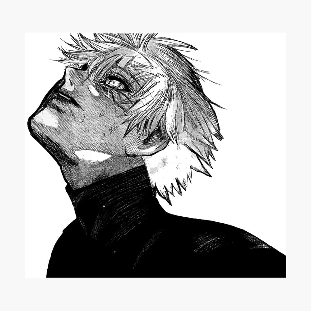 올려다보는 카네키 PFP