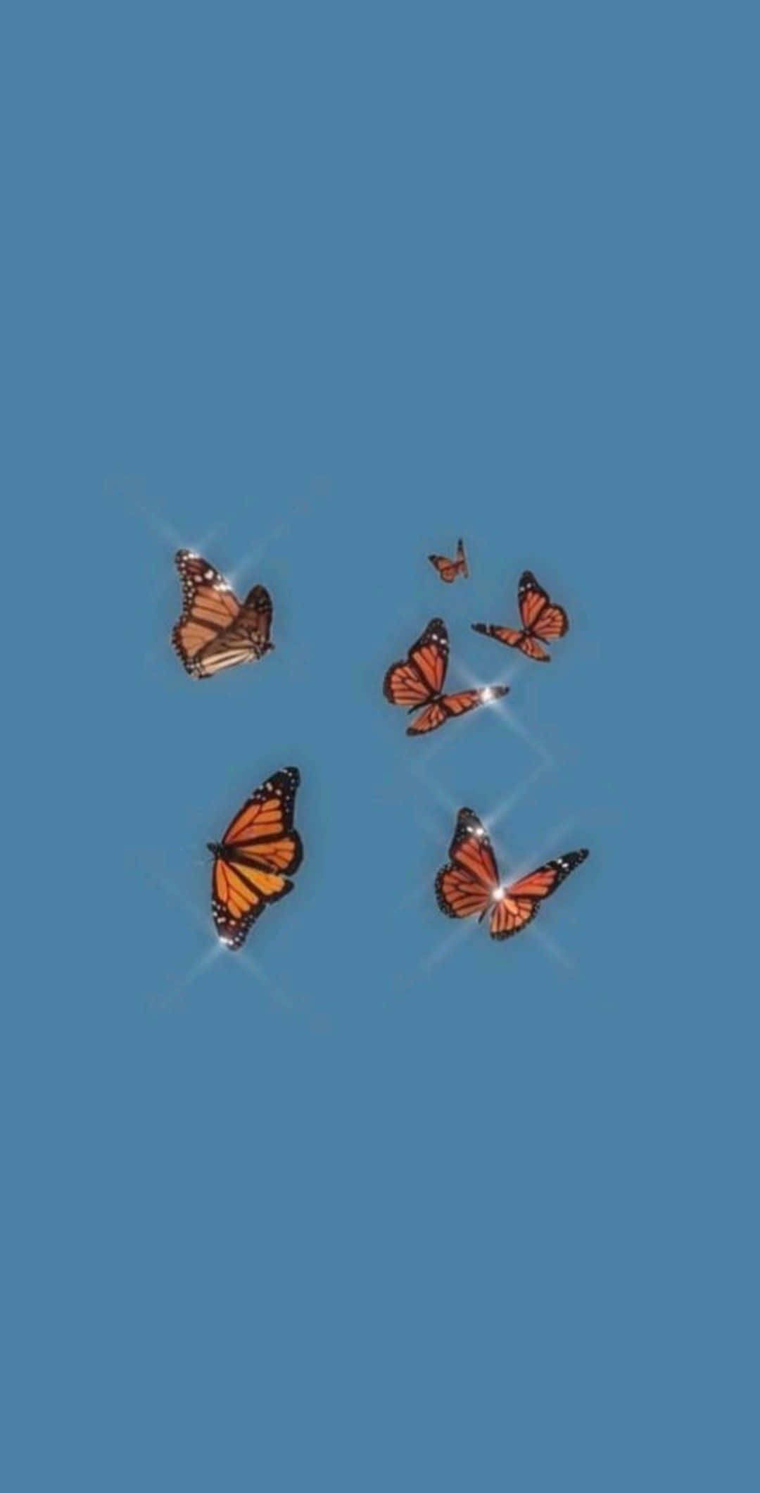 일상을 더 아름답게 꾸미는 아이폰 배경화면
