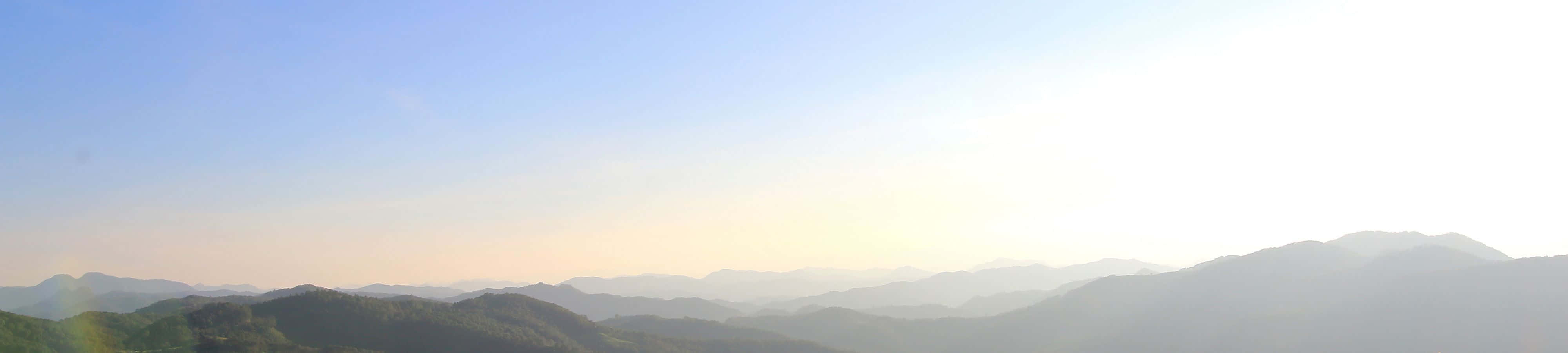 자연의 고요한 바람을 느껴보세요 배경화면