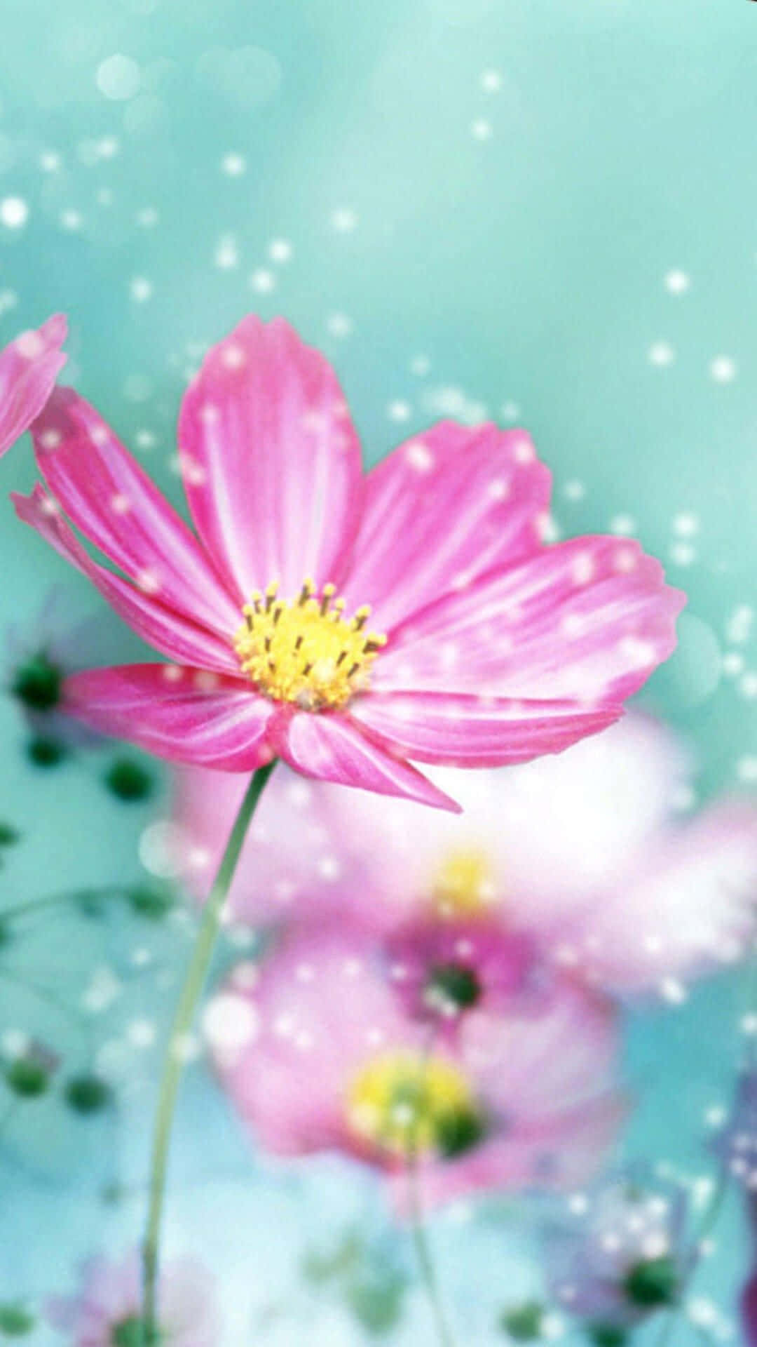 자연의 아름다움을 담은 생생한 꽃 아이폰 배경화면
