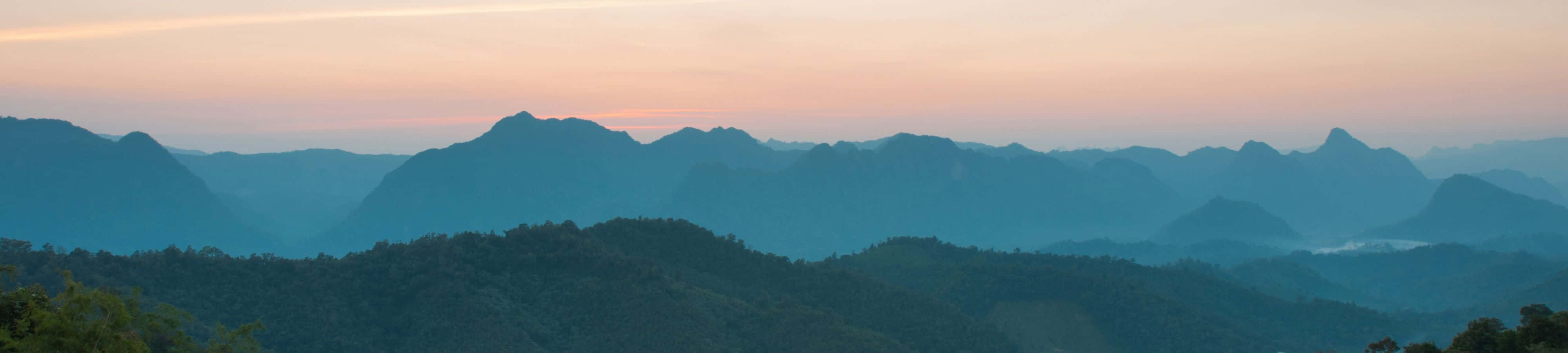 "자연이 당신에게 손을 내밀게 하세요" 배경화면