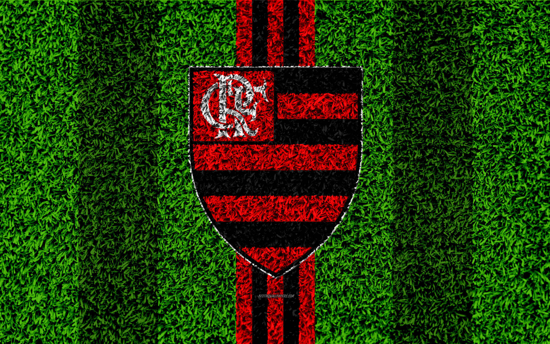 잔디 필드 플라멩고 FC — 축구 GIF 배경화면