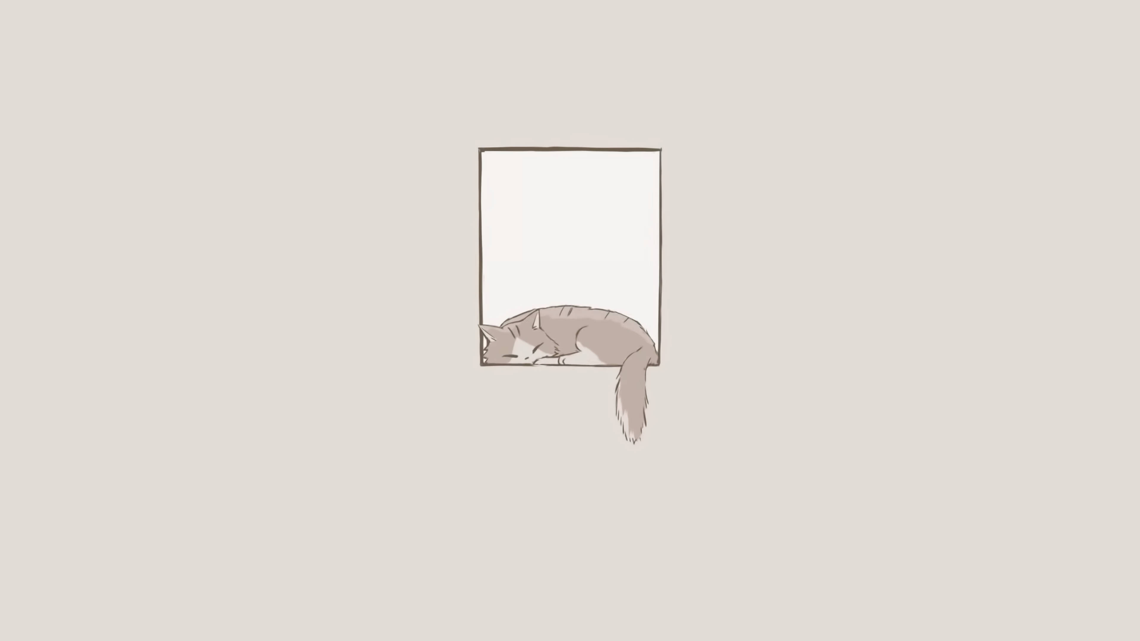 잠자는 고양이 미니멀 감성 노트북 배경화면