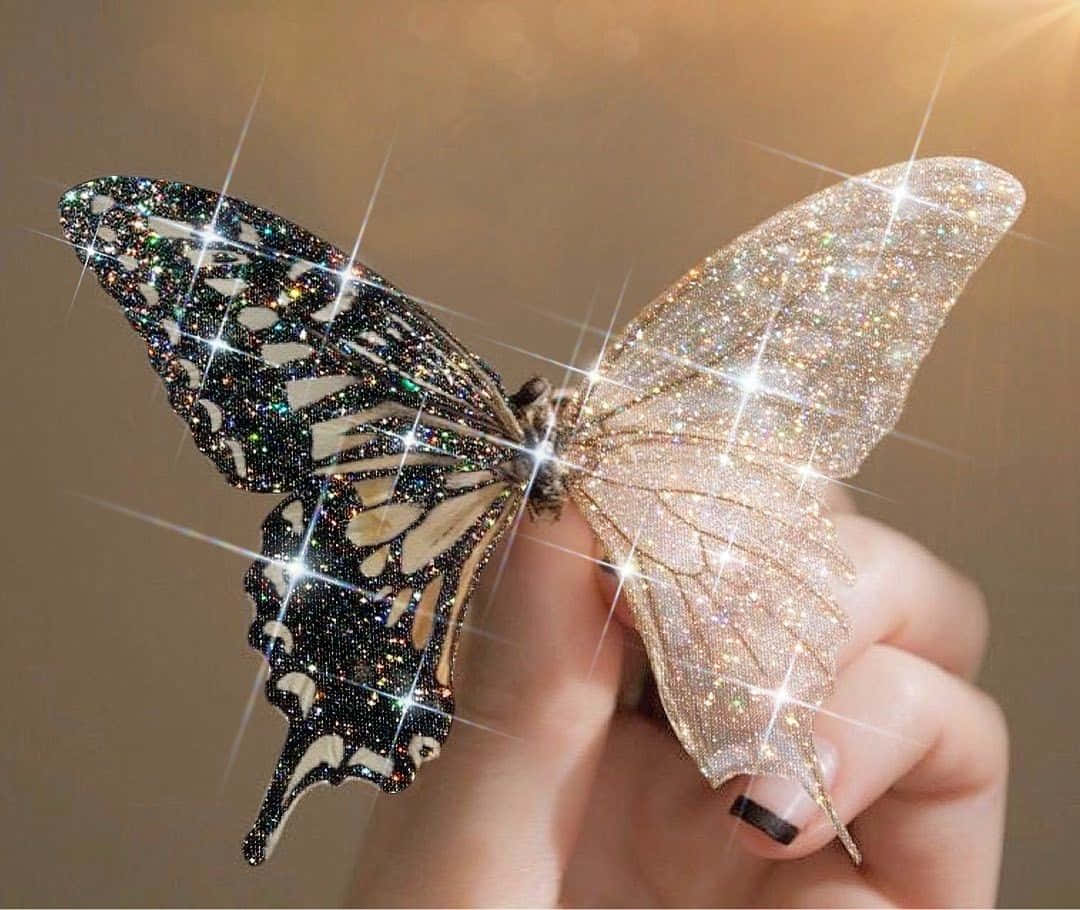 정원에서 춤추는 아름다운 분홍색과 노란색 나비 배경화면