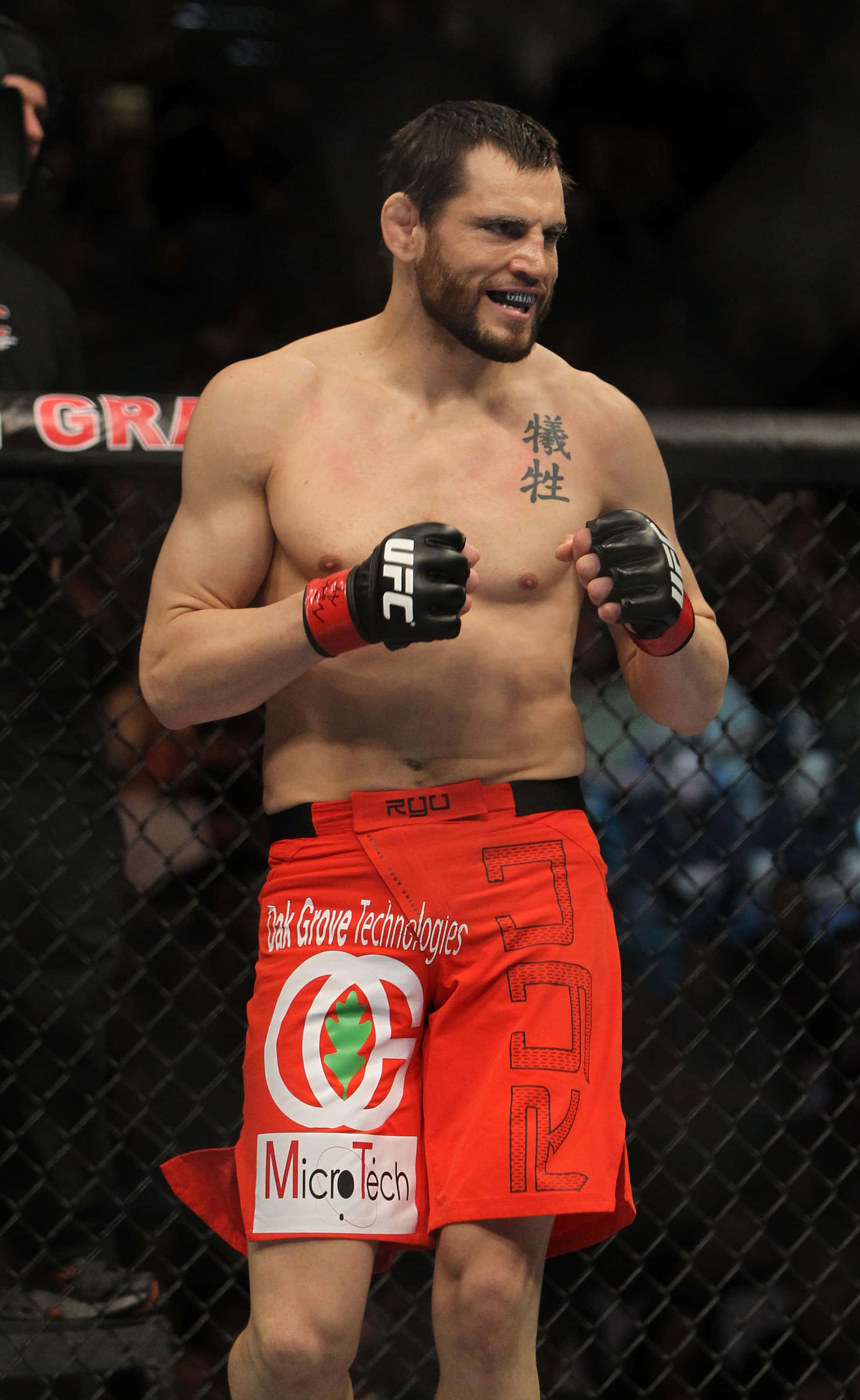 존 피치 UFC 141 옥타곤 입장 배경화면