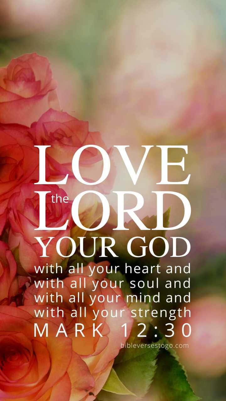 주님이 지으신 이 날을 기뻐하라 배경화면