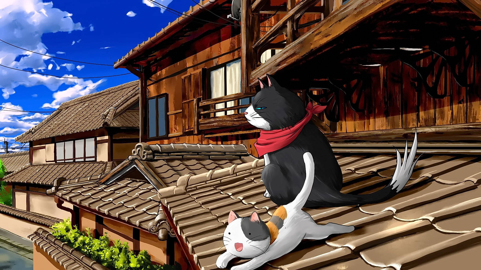 지붕 위의 고양이 컴퓨터 배경화면