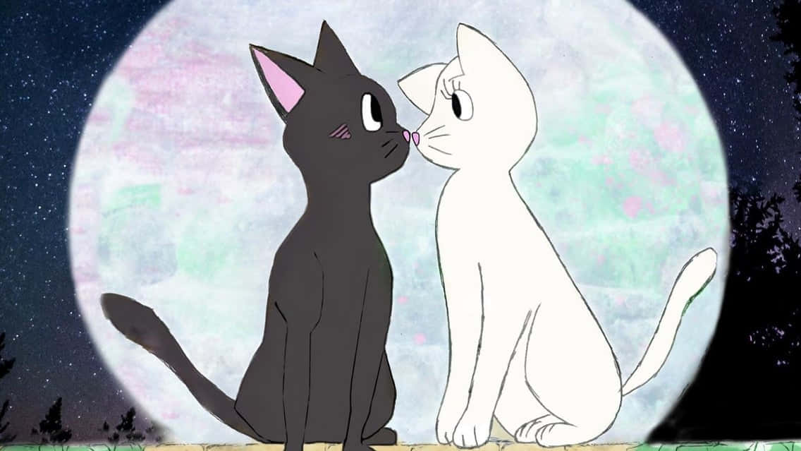 짝꿍 고양이 프사 세일러문 배경화면