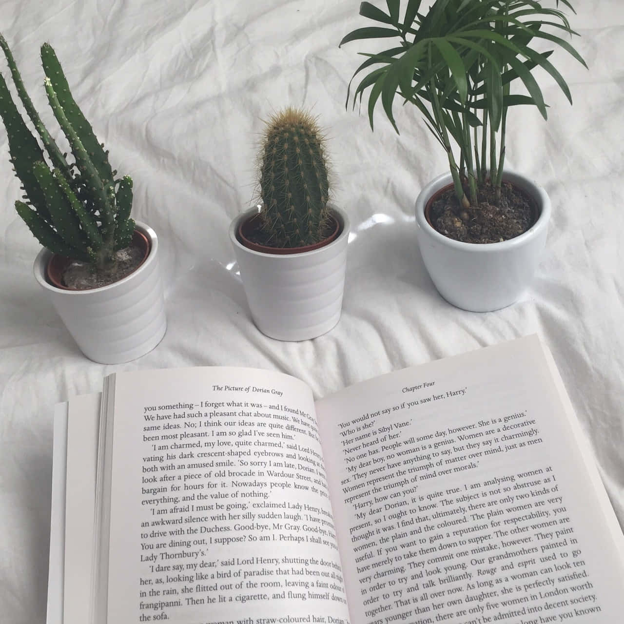 책의 세계로 떠나보세요! 📖 배경화면