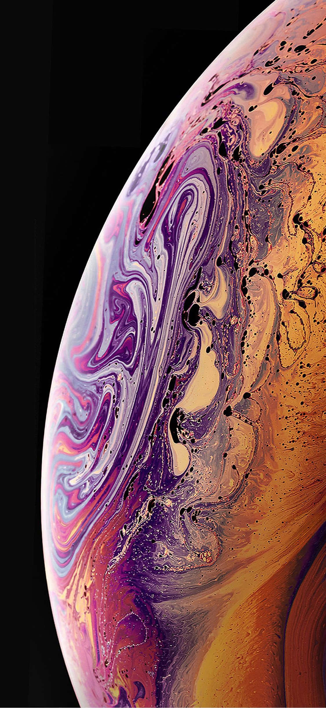 최신 iPhone XR을 손에 넣으세요 배경화면
