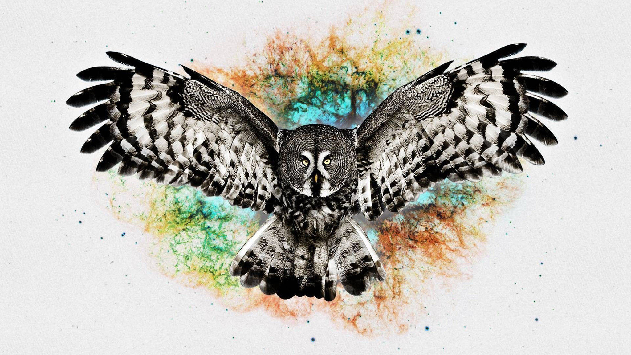 추상 페인팅 귀여운 올빼미 배경화면