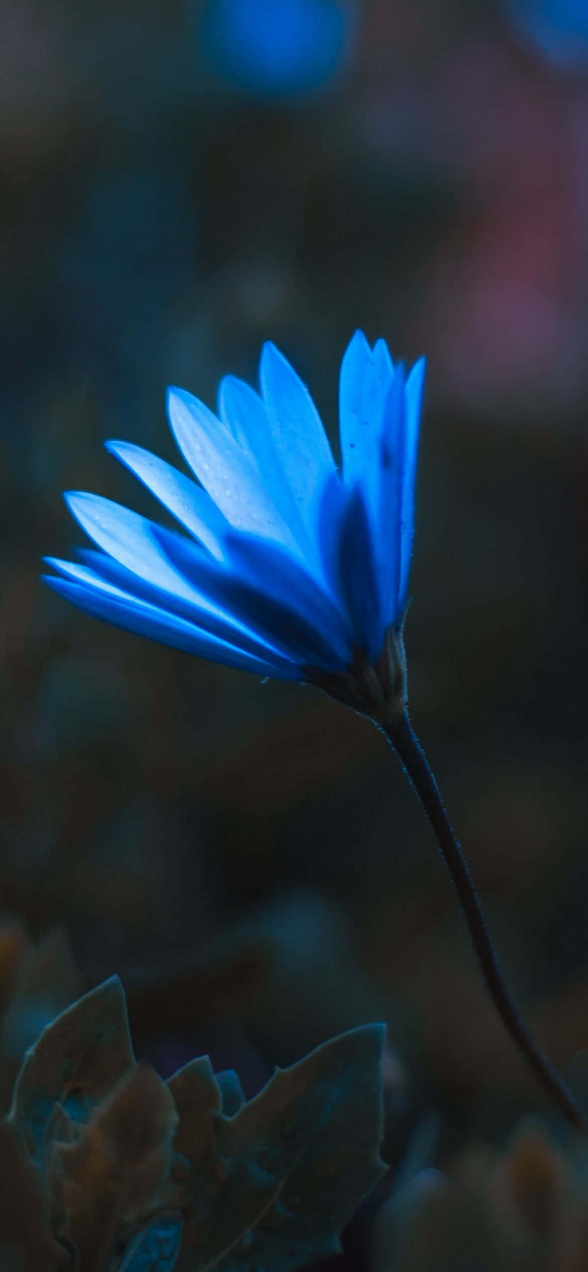 컬러의 물보라! 배경화면