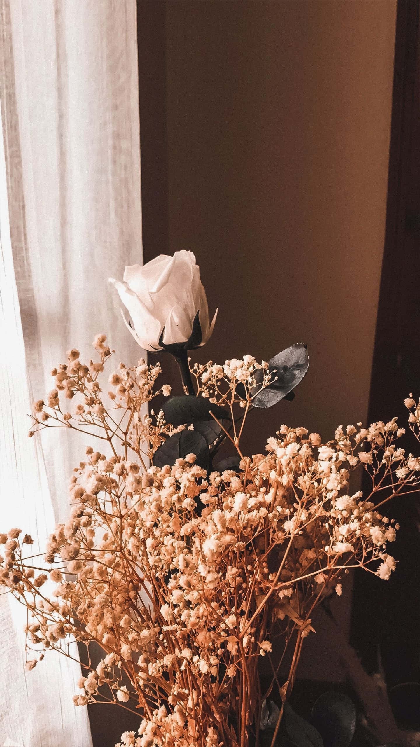 크림과 브라운의 부드러운 중성 팔레트 배경화면