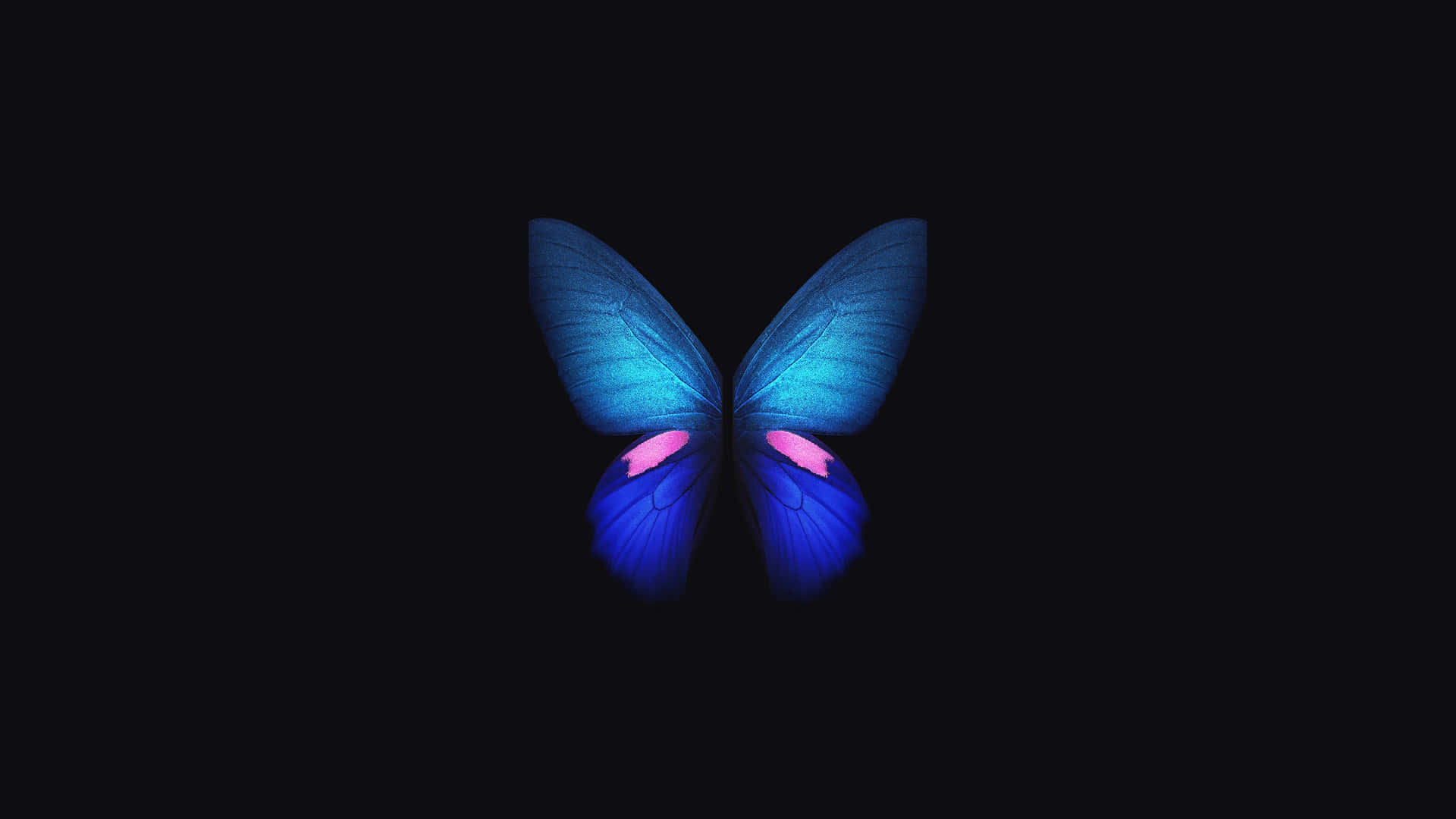 4K OLED 배경화면