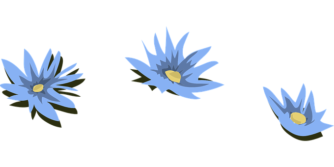 파란 수련 일러스트