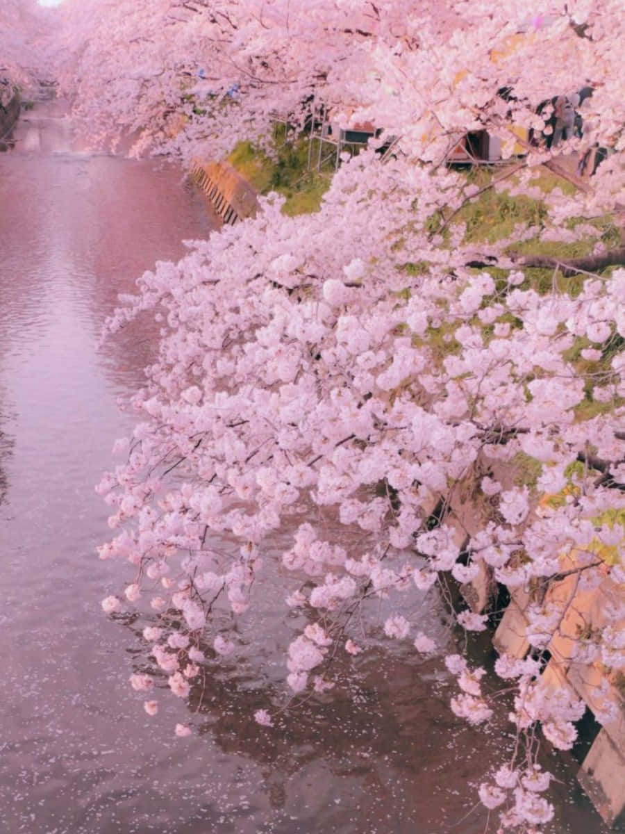 파스텔 꿈결 배경화면