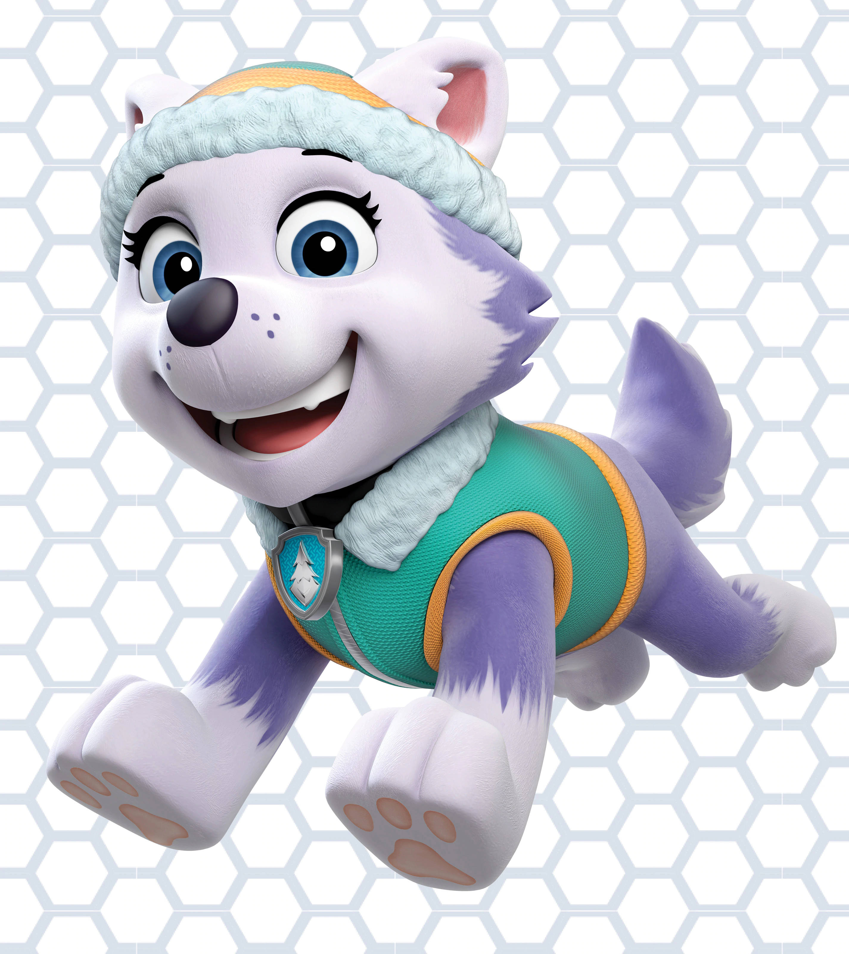 Paw Patrol 에베레스트 배경화면