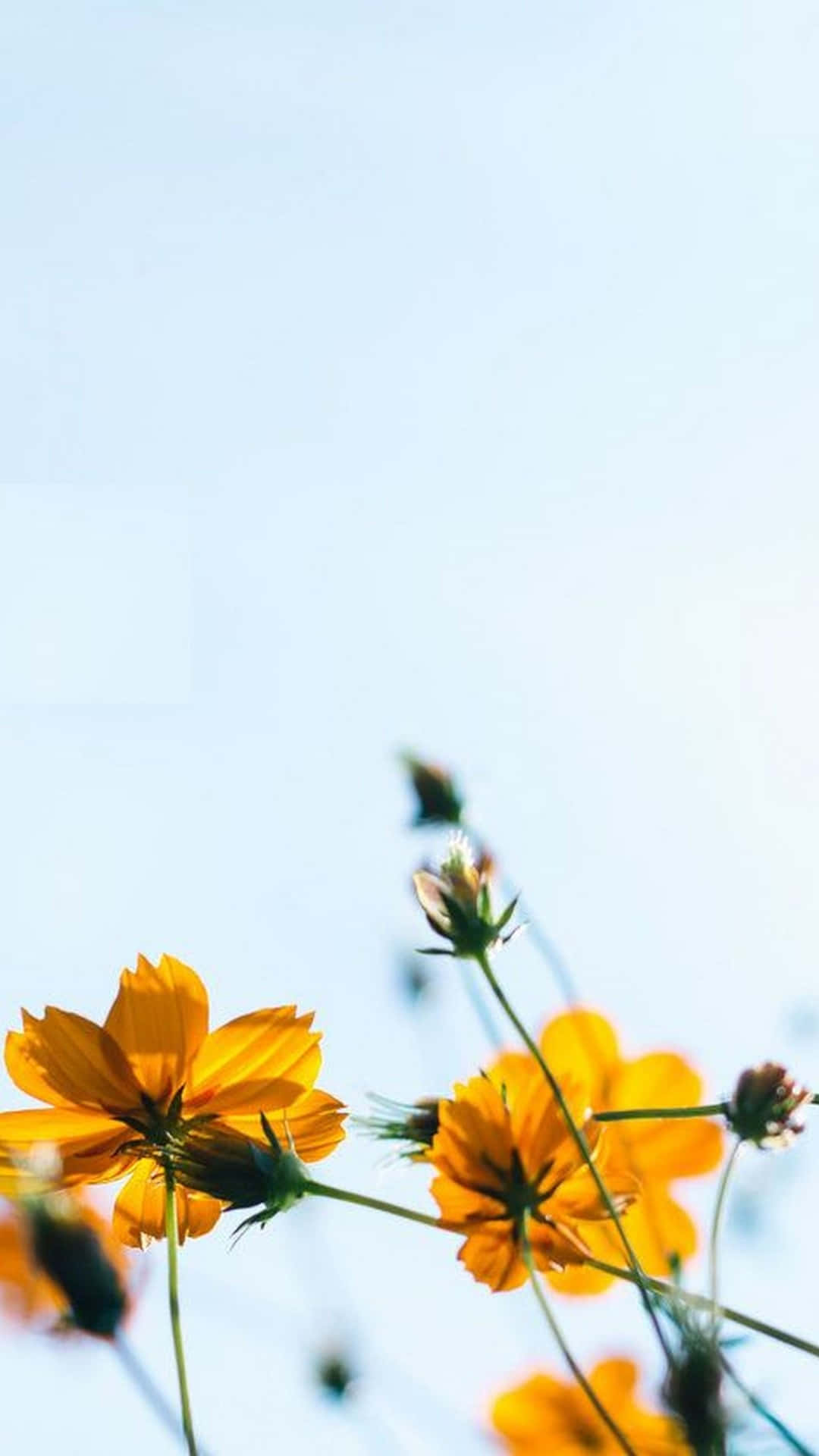 평온한 산 풍경 배경화면