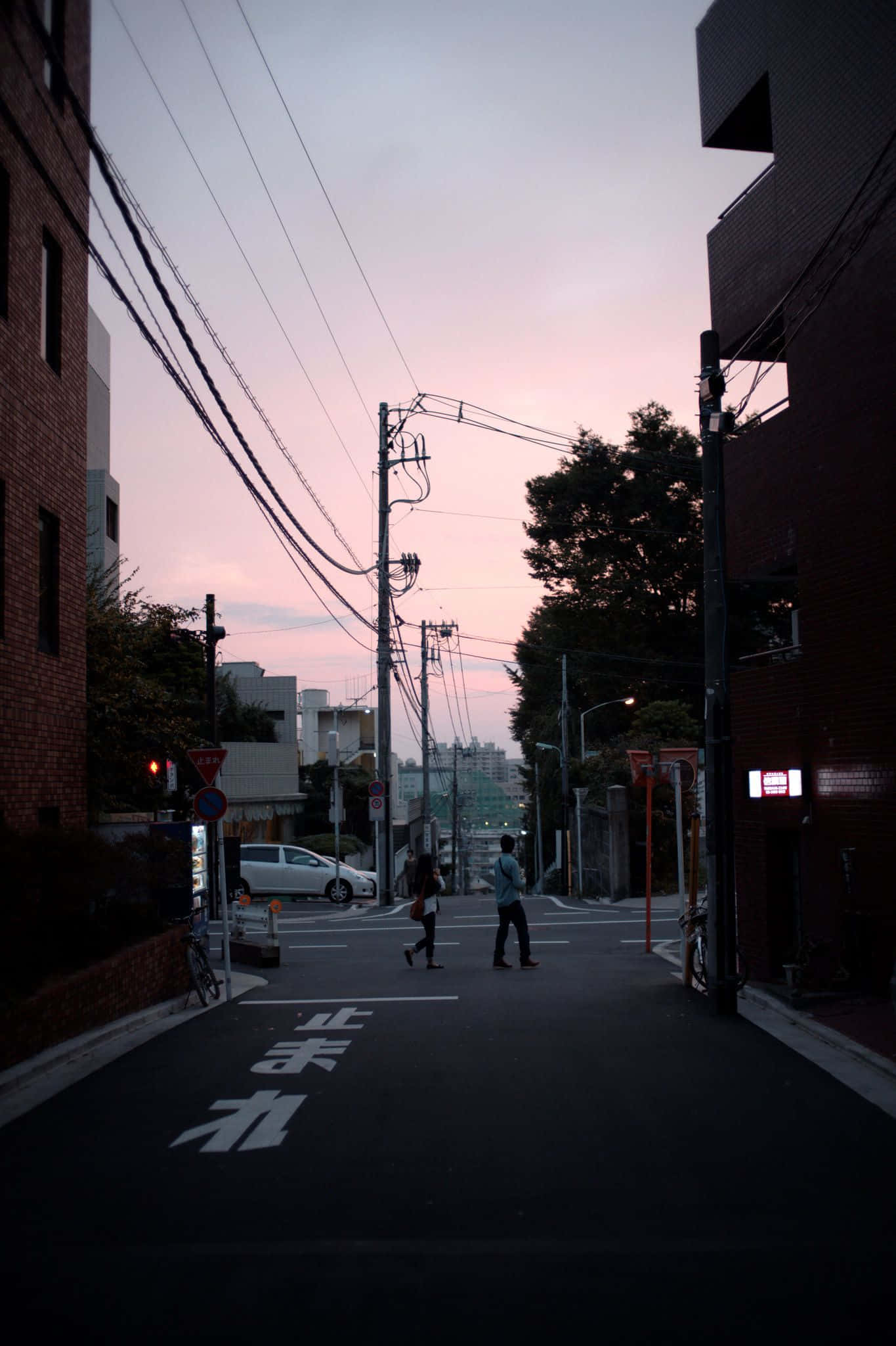 평화롭고 차분한 일몰의 바다 해변 풍경 배경화면