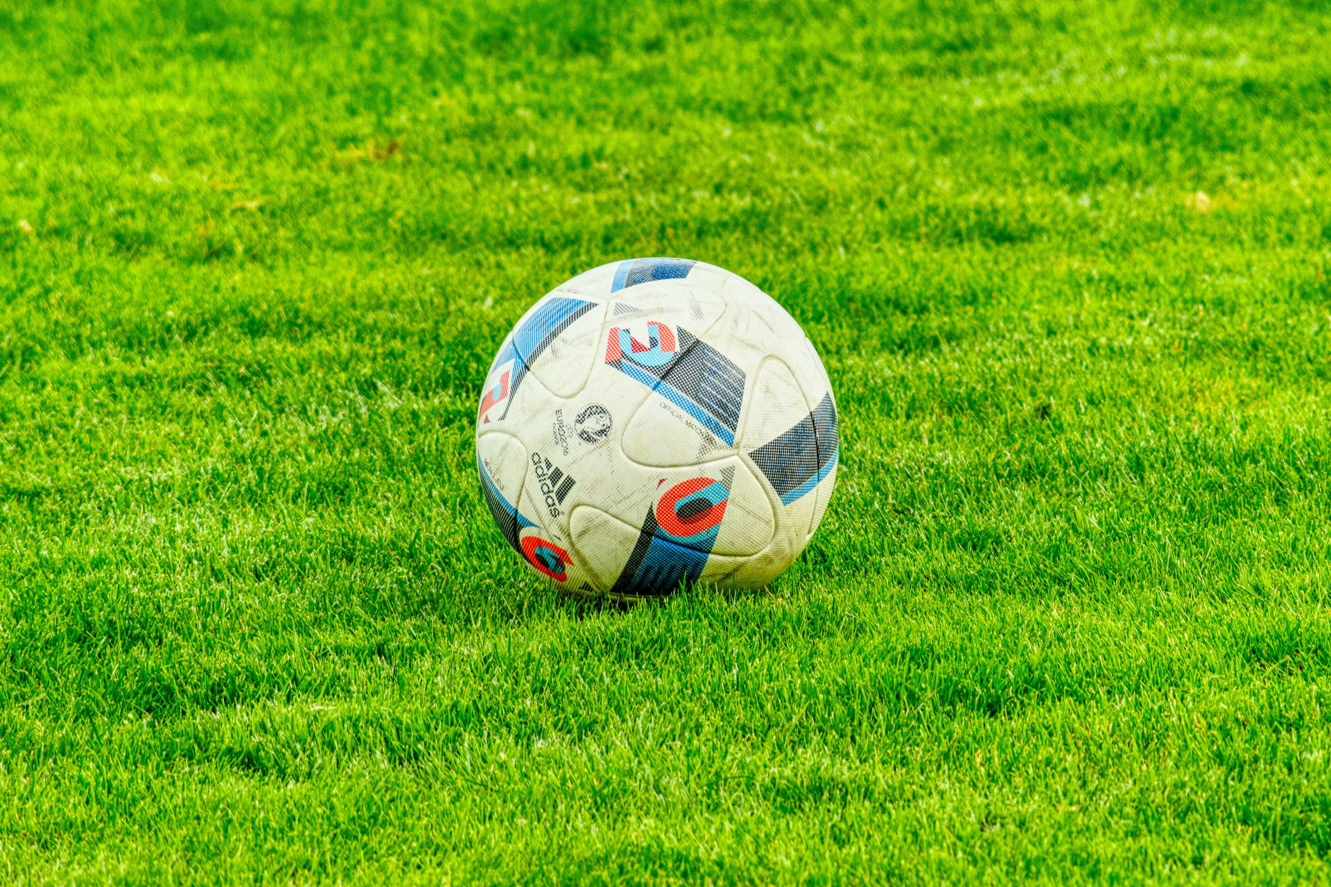 푸른 잔디 축구장 클로즈업 사진 배경화면
