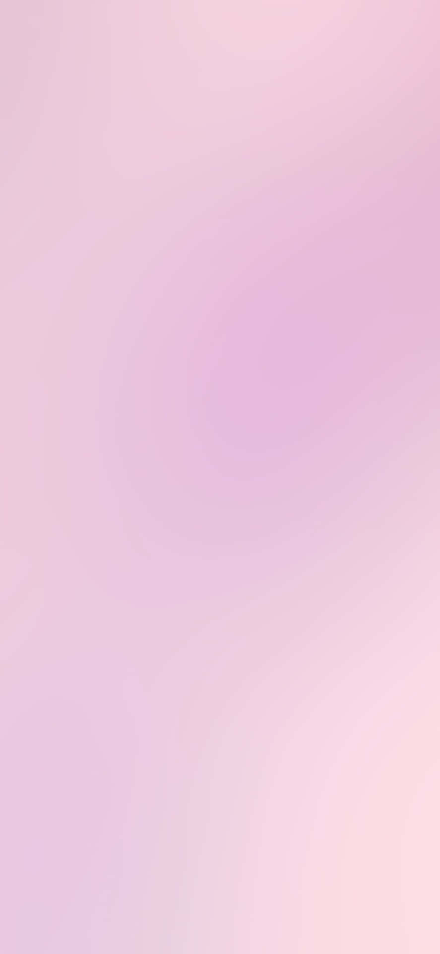 핑크 옴브레 배경화면