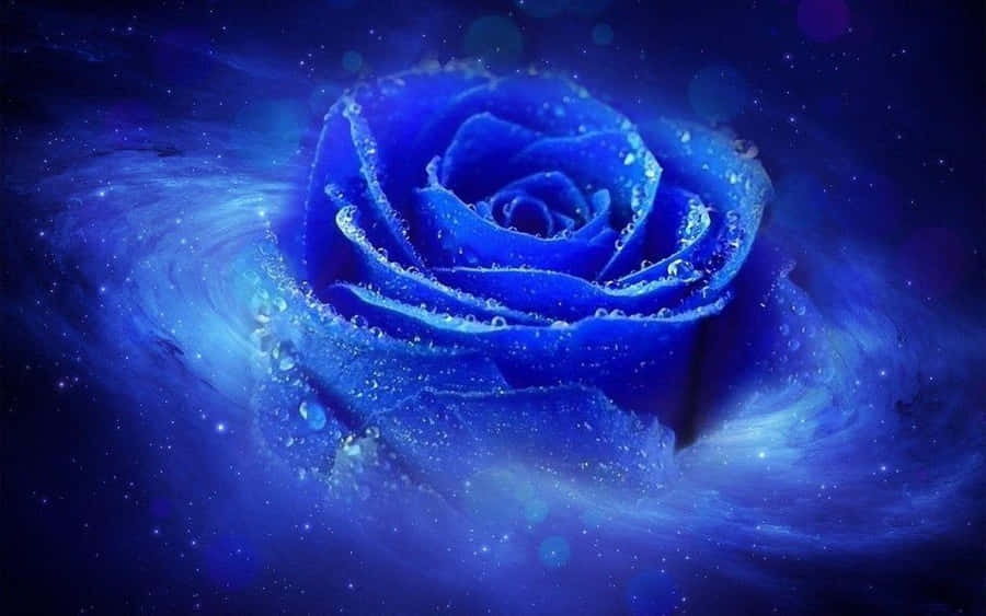 핑크빛 꽃노을 클로즈업 배경화면