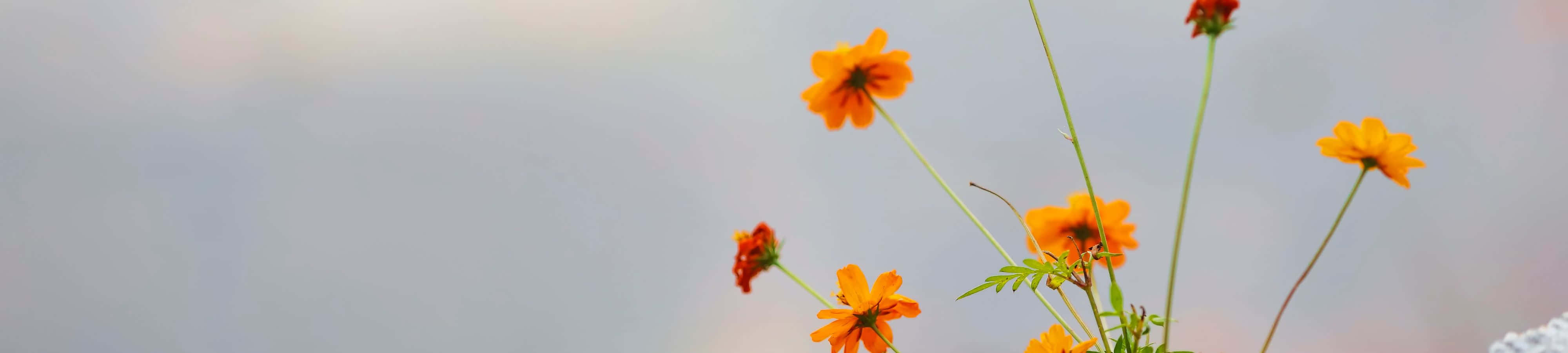 호숫가 산자락의 아름다운 자연 풍경 배경화면