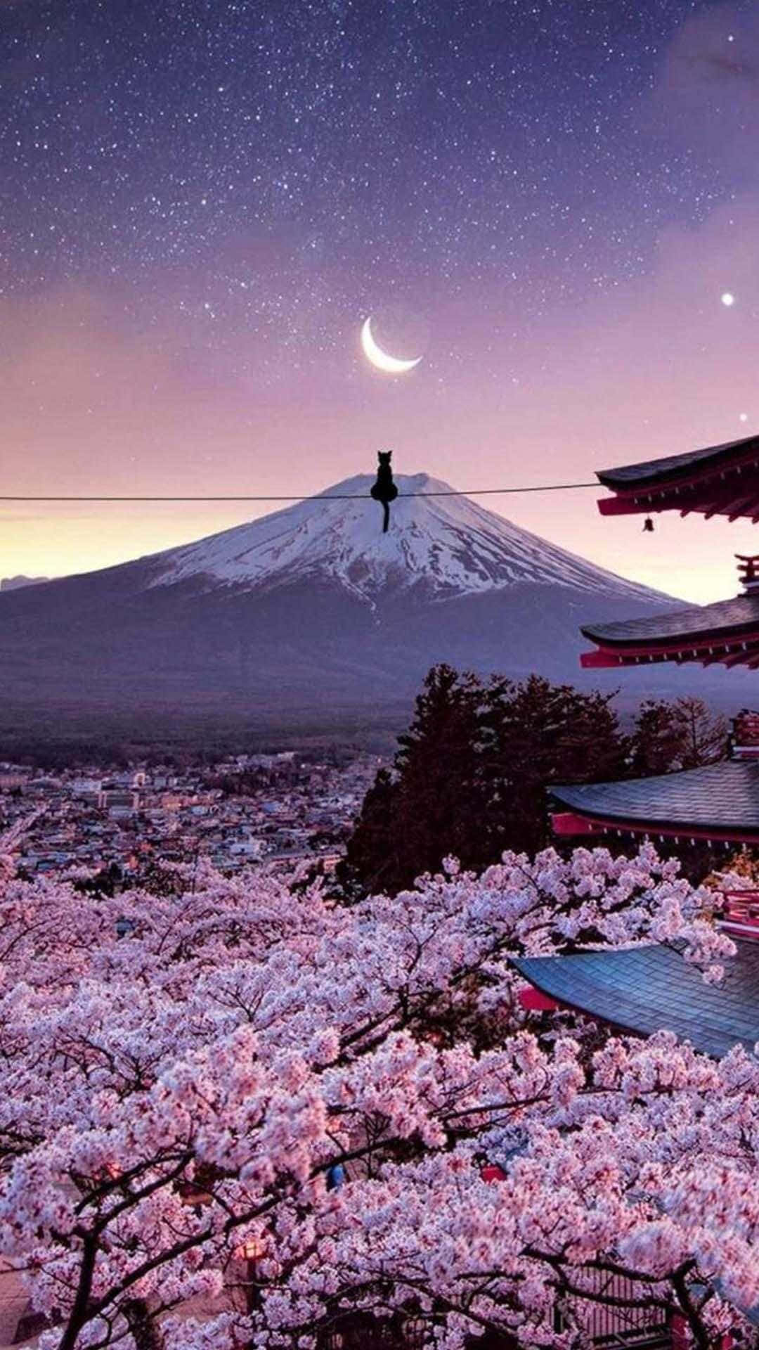 일본 아이폰