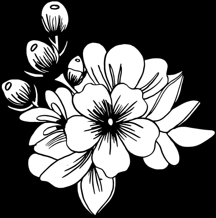흑백 플로랄 일러스트 배경화면