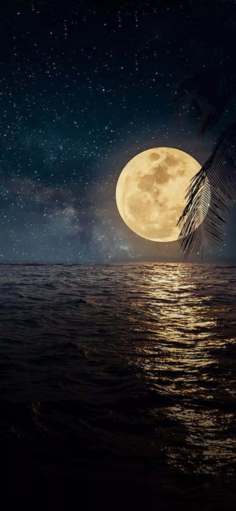 흑해에 비치는 고요한 일몰의 반영 배경화면