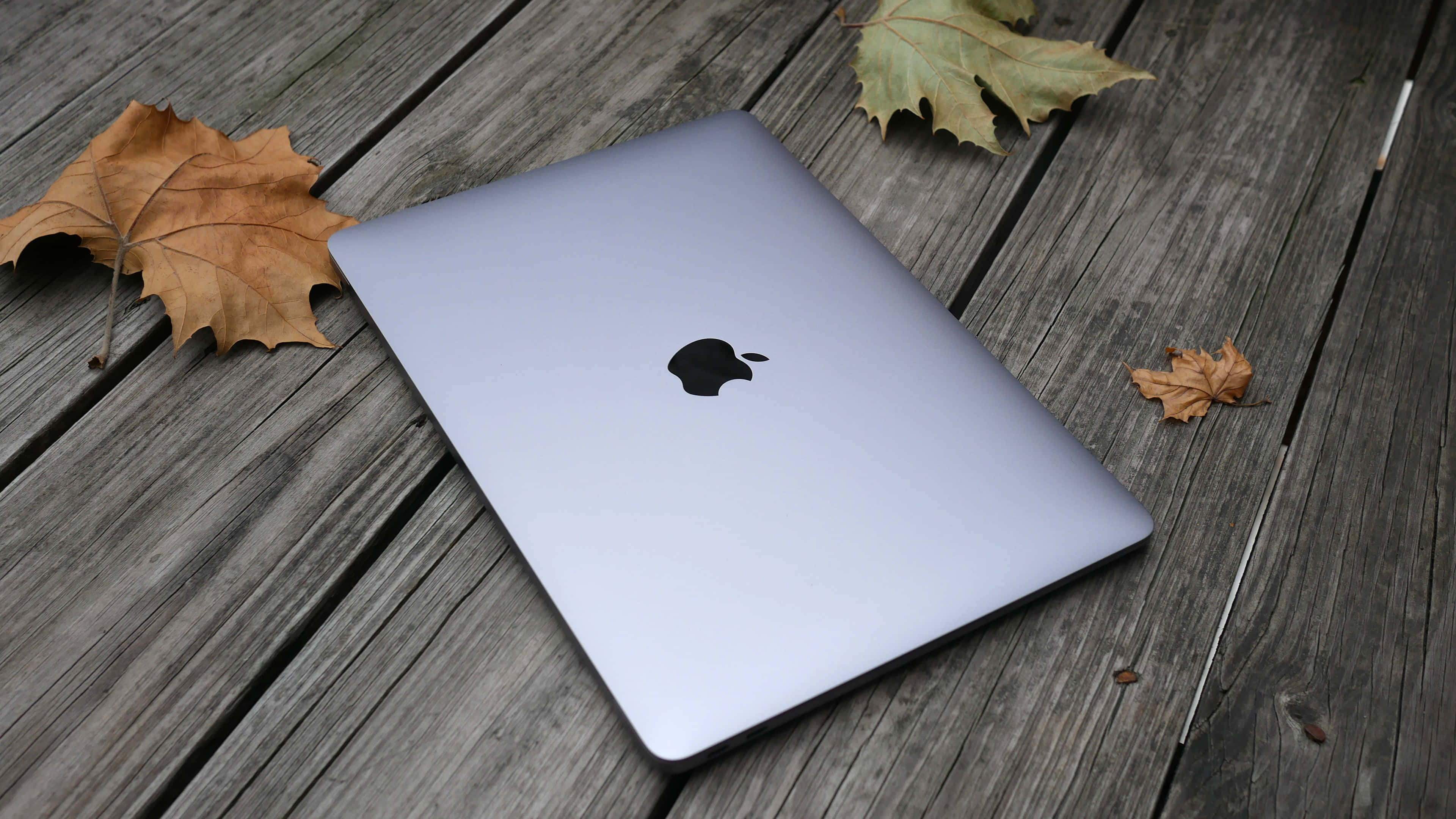 흰색 Apple MacBook 노트북 배경화면