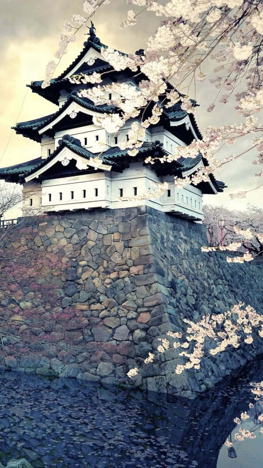일본 아이폰