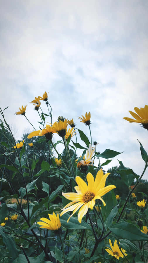 감성 아이폰 사진