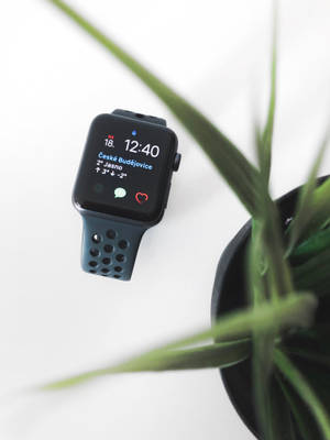 Apple Watch 미적으로 아름다운 사진 배경화면 — 애플 워치 배경화면