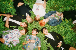 BTS 잔디 위에 누워있는 데스크탑 — Bts 데스크탑 배경화면