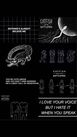 Catfish And The Bottlemen 얼터너티브 감성