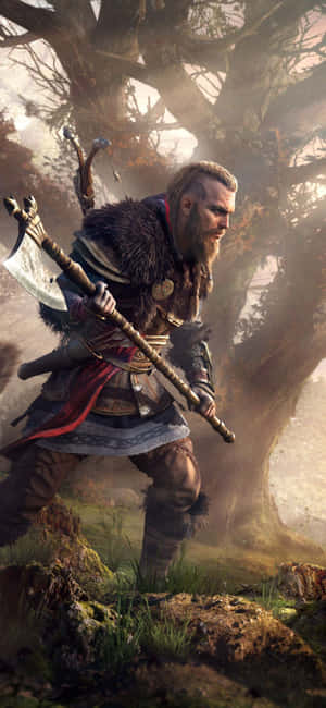 iPhone XS Assassin's Creed Valhalla 배경 — HMD 아크 2 배경화면