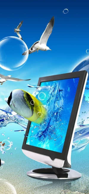 iPhone Xs 모니터 배경 — 샤오미 T 배경화면