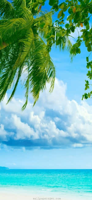 iPhone Xs 해변 배경 — 리얼미 배경화면
